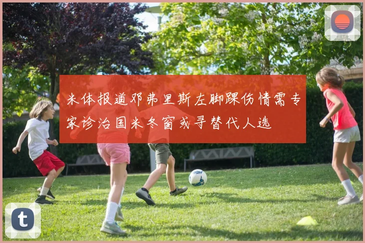 米体报道邓弗里斯左脚踝伤情需专家诊治国米冬窗或寻替代人选