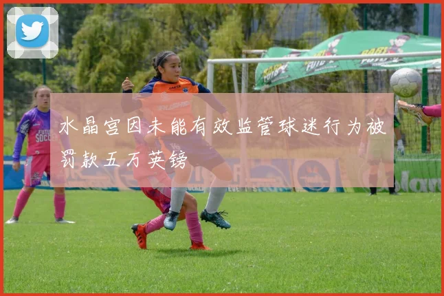 水晶宫因未能有效监管球迷行为被罚款五万英镑