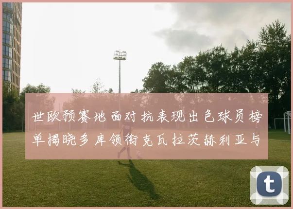 世欧预赛地面对抗表现出色球员榜单揭晓多库领衔克瓦拉茨赫利亚与布拉德利紧随其后