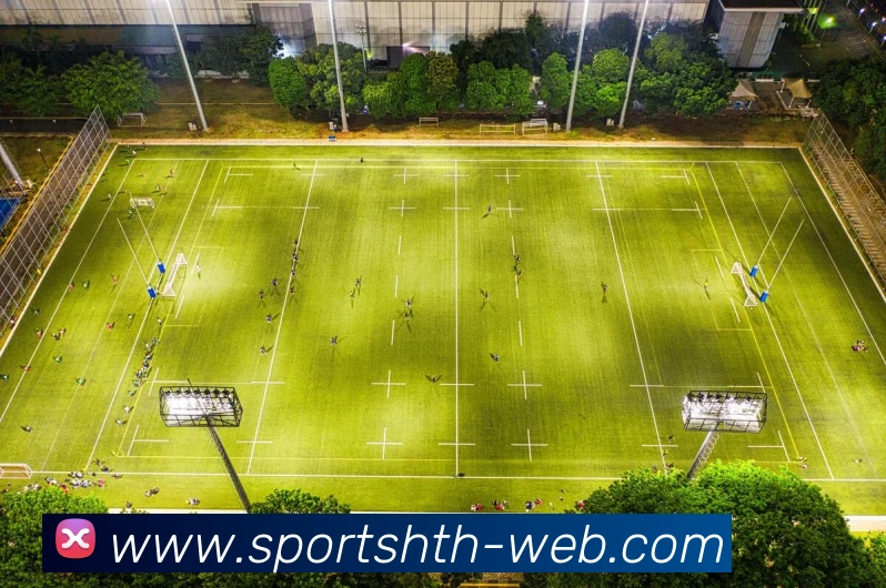 华体会体育平台生态图